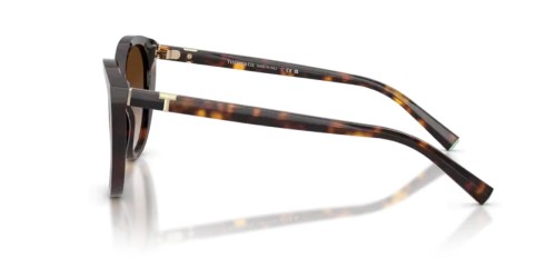 TIFFANY & CO. TF4251 - 80153B - 56 Occhiali da sole Havanna Cat Eye