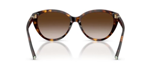 TIFFANY & CO. TF4251 - 80153B - 56 Occhiali da sole Havanna Cat Eye