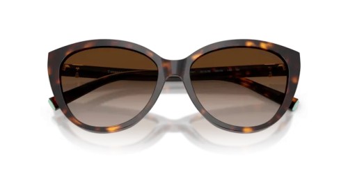 TIFFANY & CO. TF4251 - 80153B - 56 Occhiali da sole Havanna Cat Eye