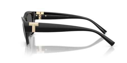 TIFFANY & CO. TF4255U - 8001S4 - 56 Occhiali da sole Black Rectangle
