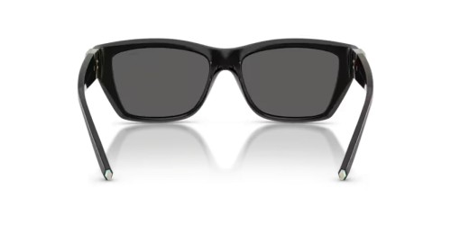 TIFFANY & CO. TF4255U - 8001S4 - 56 Occhiali da sole Black Rectangle