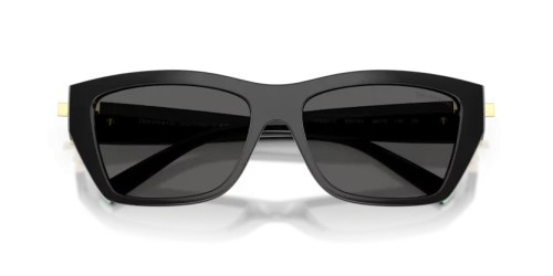 TIFFANY & CO. TF4255U - 8001S4 - 56 Occhiali da sole Black Rectangle