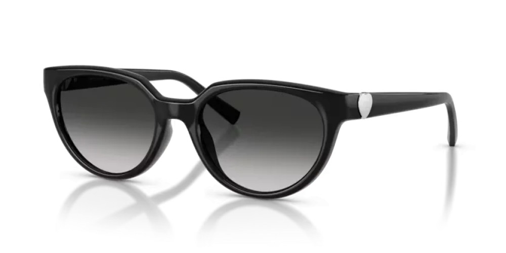 TIFFANY & CO. TF4256D - 80013C - 55 Occhiali da sole Black Cat Eye