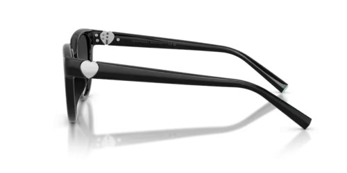 TIFFANY & CO. TF4256D - 80013C - 55 Occhiali da sole Black Cat Eye