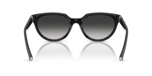 TIFFANY & CO. TF4256D - 80013C - 55 Occhiali da sole Black Cat Eye