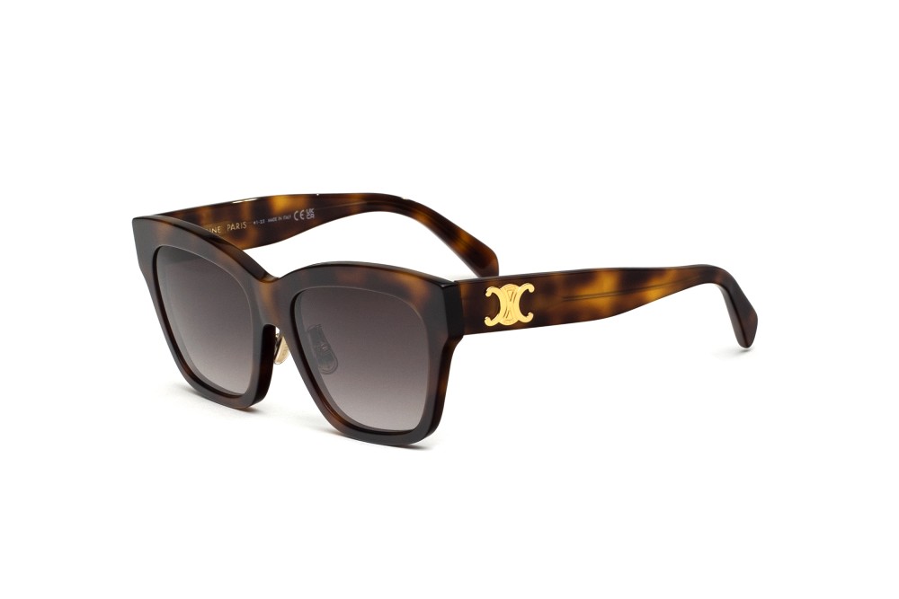 Celine CL40253F - 53K - 55 Occhiali da sole Square