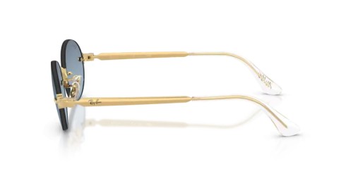 Ray-Ban RB3929 - 001/S2 - 54 Occhiali da sole Oval