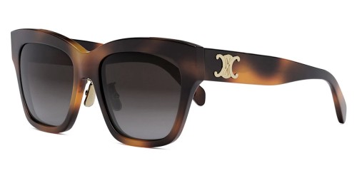 Celine CL40253F - 53K - 55 Occhiali da sole Square