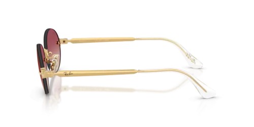 Ray-Ban RB3929 - 001/8H - 54 Occhiali da sole Oval