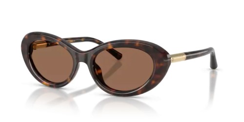 DOLCE & GABBANA - Occhiali da sole - DG4519 - 502/73 - 54