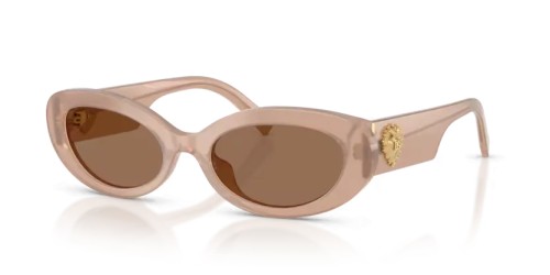 DOLCE & GABBANA - Occhiali da sole - DG4537 - 304273 - 53