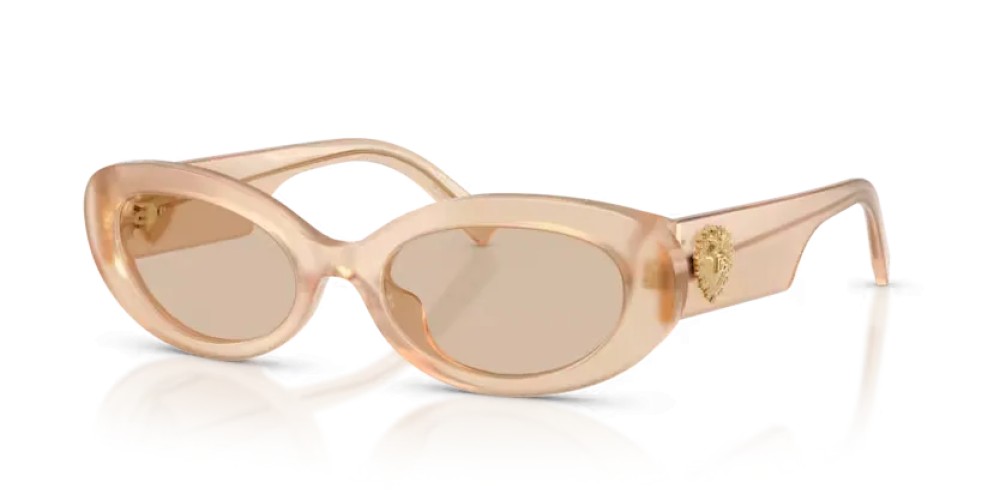 DOLCE & GABBANA DG4537 - 308993 - 53 Occhiali da sole Oval