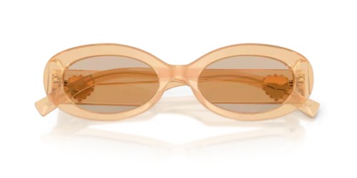 DOLCE & GABBANA DG4537 - 308993 - 53 Occhiali da sole Oval