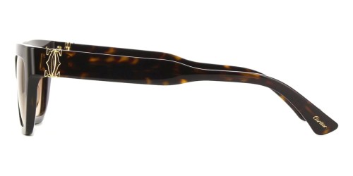 Cartier CT0437S - 002 - 53 Occhiali da sole Cat Eye