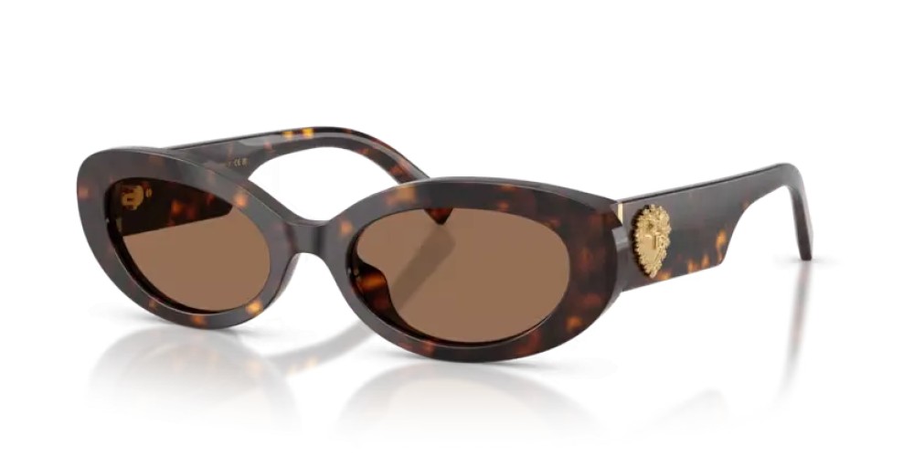 DOLCE & GABBANA DG4537 - 502/73 - 53 Occhiali da sole Havane Ovale