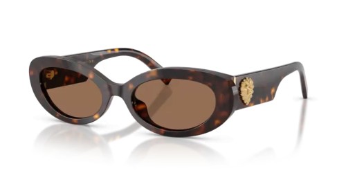 DOLCE & GABBANA - Occhiali da sole - DG4537 - 502/73 - 53