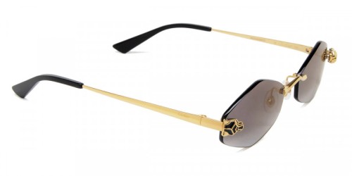 Cartier CT0433S - 001 Occhiali da sole Special