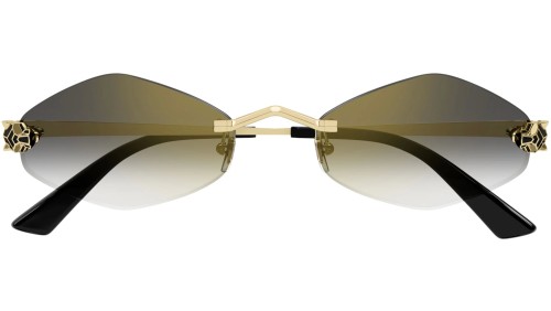 Cartier CT0433S - 001 Occhiali da sole Special