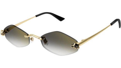 Cartier CT0433S - 001 Occhiali da sole Special