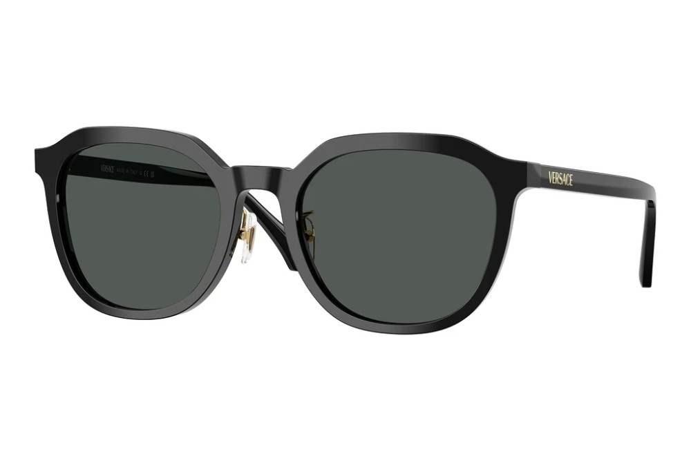 VERSACE VE4493-D - GB1/87 - 55 Occhiali da sole Black Pillow (Rounded)