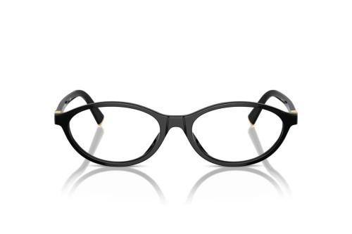 MIU MIU MU 09XV - ​16K1O1 - ​53 Montature ottiche Black Oval